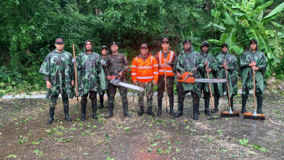 C15a771d 1586 478b 8828 39ff1881d4a1