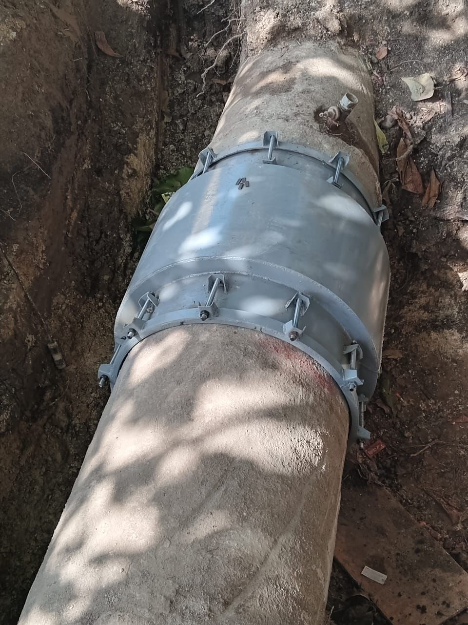 D9701c71 6487 4582 bd84 70f4a152dad9