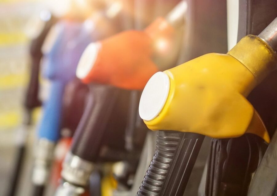 12 Eco 31 1p01 900x637