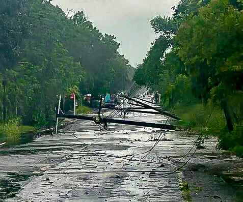 WhatsApp Image 2026 04 28 at 12.58.36 PM